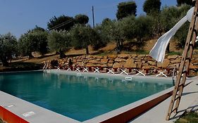 Settignano Tuscany Homes